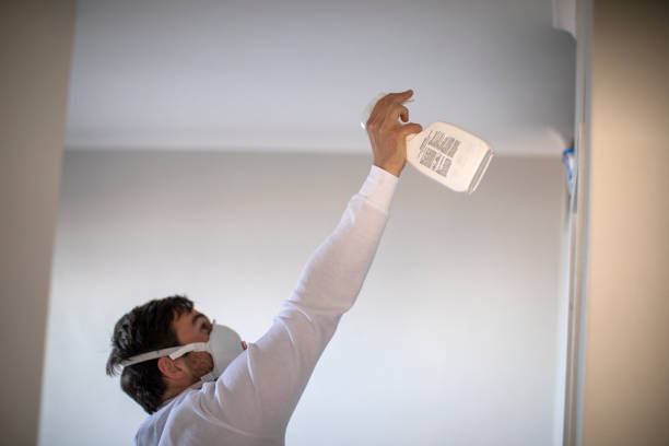 Best Mold Testing and Removal  in Hettinger, ND