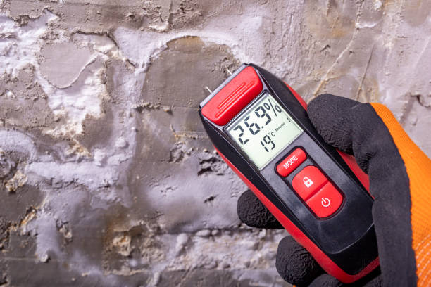 Hettinger, ND Mold Removal Company