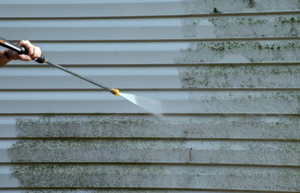 Best Residential Mold Removal  in Hettinger, ND