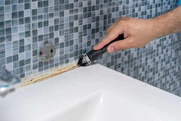 Home Mold Removal in Hettinger, ND