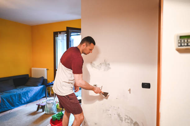 Best Commercial Mold Removal  in Hettinger, ND
